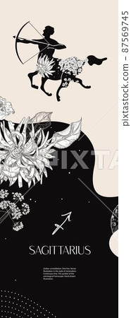Zodiac sign Sagittarius. Black silhouette with white flowers. Vertical background with zodiac constellations. Zodiac sign Sagittarius. Black silhouette with white flowers. Vertical background with zodiac constellations. 87569745