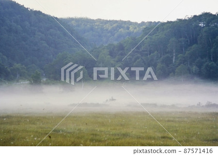 Tanohara Marsh with the morning mist 87571416