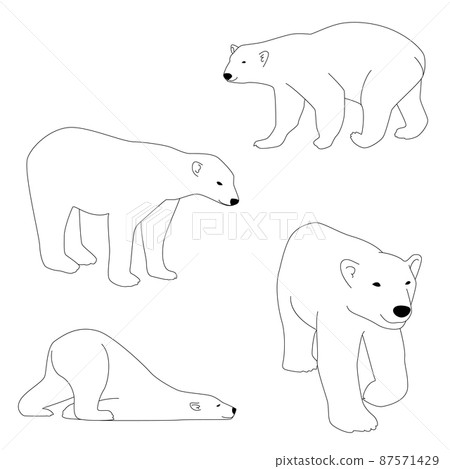 北極熊北極熊線描單色簡單插圖集 北極熊北極熊線描單色簡單插圖集 87571429