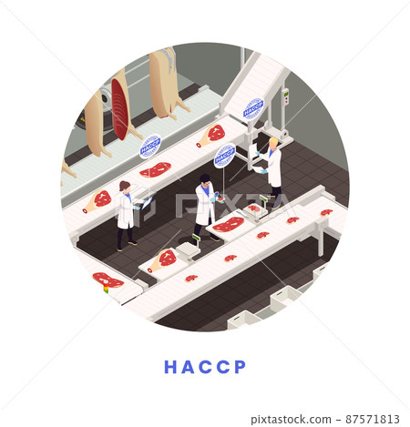 HACCP Food Safety Concept 87571813