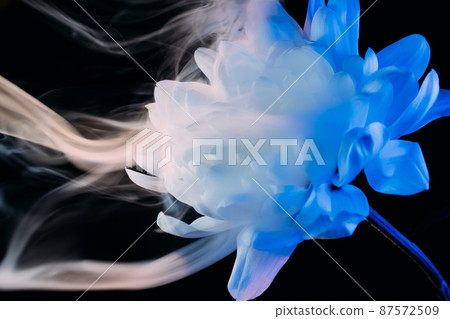 Ink water flower art. Creative floral background. Spreading fluid paint swirling on blue aster 87572509