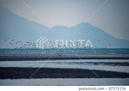 黃昏時海鷗在大敷海岸飛來飛去的落日風景 黃昏時海鷗在大敷海岸飛來飛去的落日風景 87573156