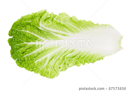 leaf of fresh chinese cabbage or napa cabbage texture isolated on white background. leaf of fresh chinese cabbage or napa cabbage texture isolated on white background. 87573830