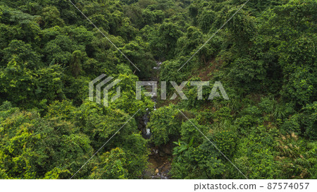 Beautiful lush green jungle with small river and dense trees on tropical mountains on summer morning Beautiful lush green jungle with small river and dense trees on tropical mountains on summer morning 87574057