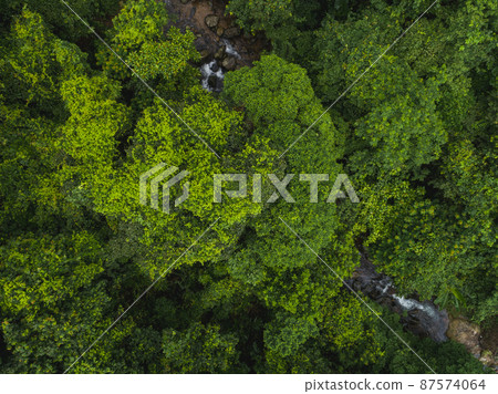 Beautiful lush green jungle with small river and dense trees on tropical mountains on summer morning Beautiful lush green jungle with small river and dense trees on tropical mountains on summer morning 87574064