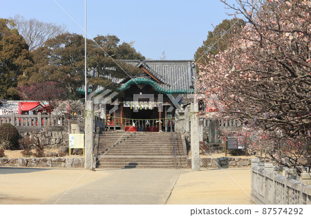 早春的aki宮天滿宮 早春的aki宮天滿宮 87574292