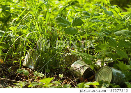 Garbage in the forest.,greenery. A wild rubbish dump - ecology, Garbage in the forest.,greenery. A wild rubbish dump - ecology, 87577243