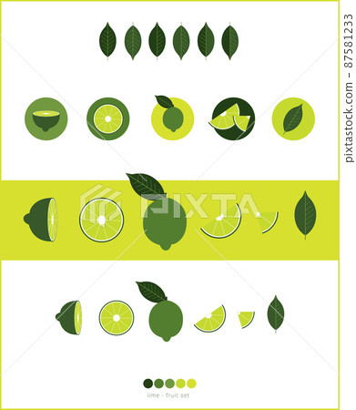 Lime Fruit Illustration set - Icon collection Lime Fruit Illustration set - Icon collection 87581233
