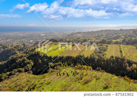 the vineyards on the slopes of the Etna volcano the vineyards on the slopes of the Etna volcano 87581902