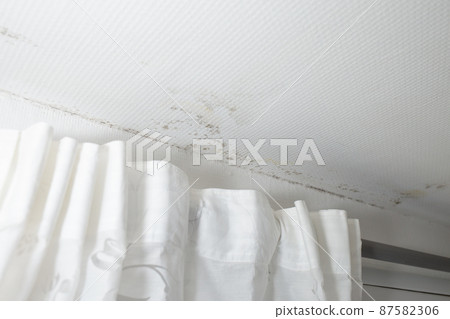 gray mold on the ceiling and walls, dampness in the house gray mold on the ceiling and walls, dampness in the house 87582306