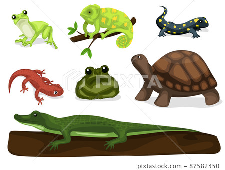 Reptiles and amphibians. Cartoon frog, chameleon, crocodile, lizard and turtle, wildlife animals. Cartoon exotic amphibian and reptiles 87582350