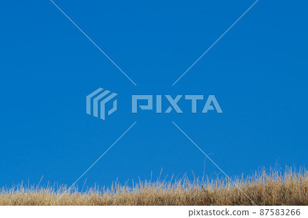 Blue sky lawn Blue sky lawn 87583266