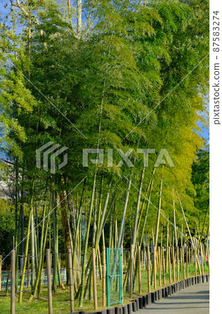 Bamboo chopsticks 87583274