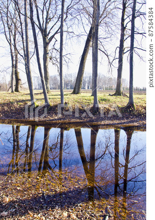 autumn park landscape with pond autumn park landscape with pond 87584384