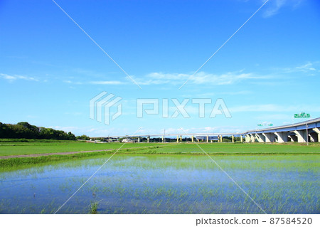 豐田市、稻田和豐田路口的風景 87584520