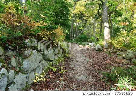 觀音寺城 079 87585629