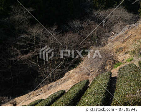 神奈川縣相模原市藤野町佐野川 神奈川縣相模原市藤野町佐野川 87585945