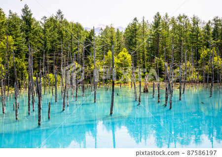 [Hokkaido_Biei Town] Mysterious Blue Pond 87586197