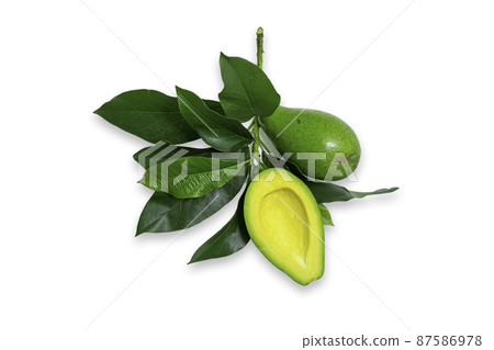 Avocado fruit on white background Avocado fruit on white background 87586978
