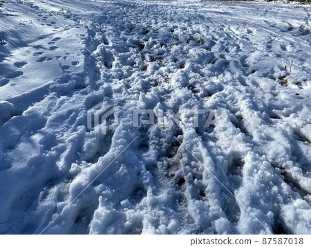 雪地上的腳印 雪地上的腳印 87587018