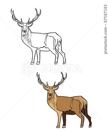 Deer Drawing - How To Draw A Deer Step By Step!