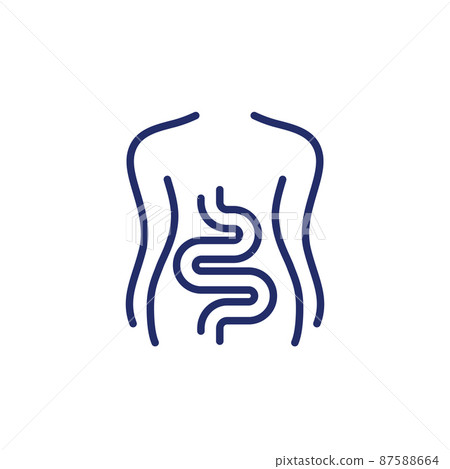 Intestines, colon line icon on white 87588664