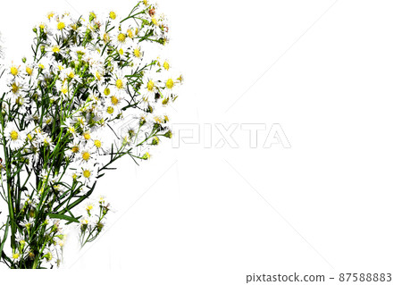 Flower arrangements for sayings 87588883