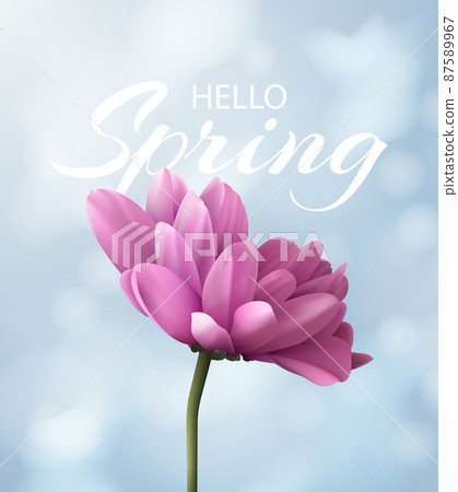 Hello spring banner with realistic pink chrysanthemum flower on a blurred blue background with bokeh. Vector illustration. Hello spring banner with realistic pink chrysanthemum flower on a blurred blue background with bokeh. Vector illustration. 87589967