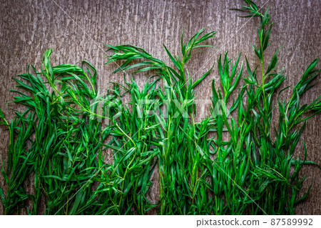 Fresh tarragon on wooden background Fresh tarragon on wooden background 87589992