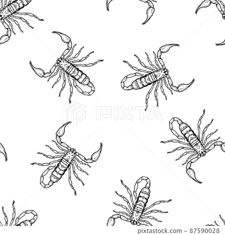 Seamless pattern of monochrome scorpions illustration. Vector illustration template 87590028