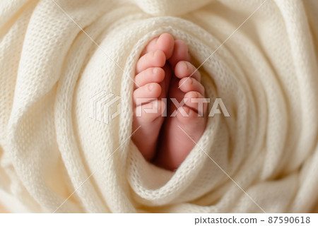 Small beautiful legs of a newborn baby in the first days of life Small beautiful legs of a newborn baby in the first days of life 87590618
