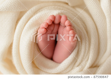 Small beautiful legs of a newborn baby in the first days of life Small beautiful legs of a newborn baby in the first days of life 87590647