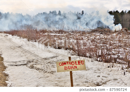 Controlled Burn on a Farm Property where Forest has been Cut Down to make more Arable Farmland Controlled Burn on a Farm Property where Forest has been Cut Down to make more Arable Farmland 87590724