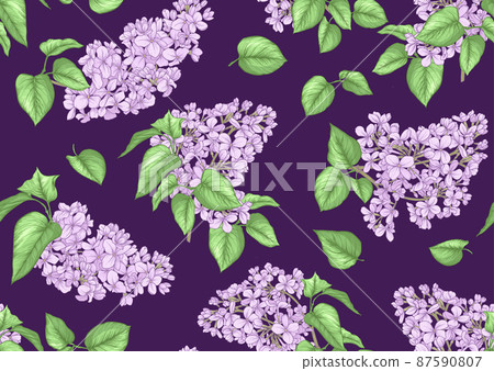 Seamless background with lilac flowers. 87590807