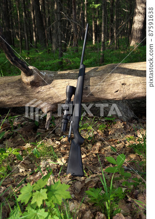 Black Hunting Rifle with Scope Optics Leaning against a fallen Tree 87591638