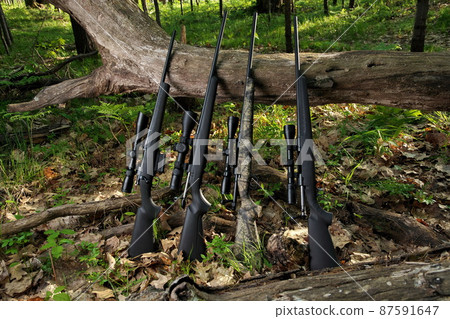 Four Hunting Rifles with Scope Optics Leaning against a fallen Tree 87591647