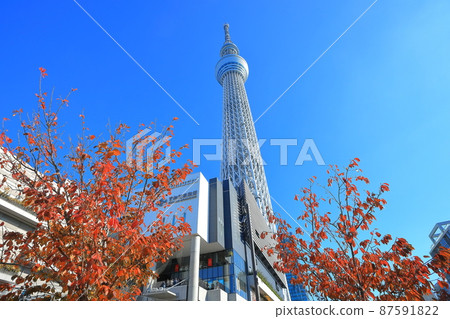 東京晴空塔和秋葉在好天氣 87591822