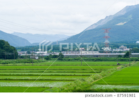 [Tokaido Line] Shirasagi and Shinkansen passing through Mt. Ibuki 87591981