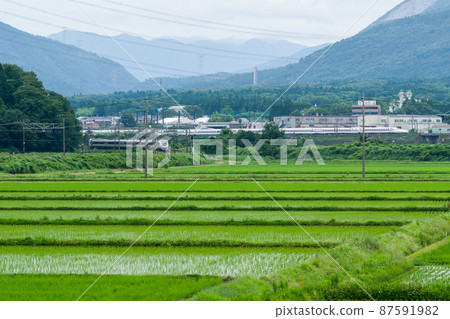 [Tokaido Line] Shirasagi and Shinkansen passing through Mt. Ibuki 87591982