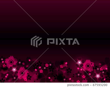 Cherry blossom frame background / black background 87593200