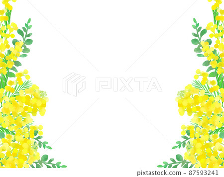 Mimosa hand-drawn illustration card Mimosa hand-drawn illustration card 87593241