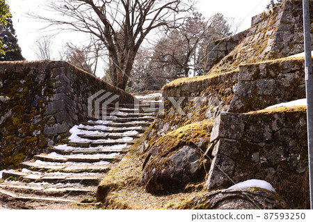 岩村城跡，在女城主的村子裡保留著宏偉的石牆“女城主的城堡”三月（岐阜縣惠那市） 87593250