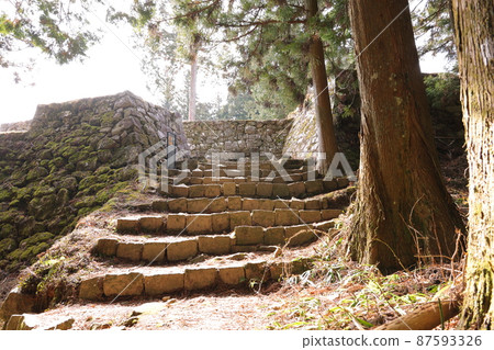 Iwamura Castle Ruins, where the magnificent stone walls remain in the village of the female castle owner "Castle of the female castle owner" March (Ena City, Gifu Prefecture) 87593326