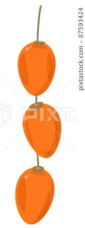 Dried persimmon 87593424