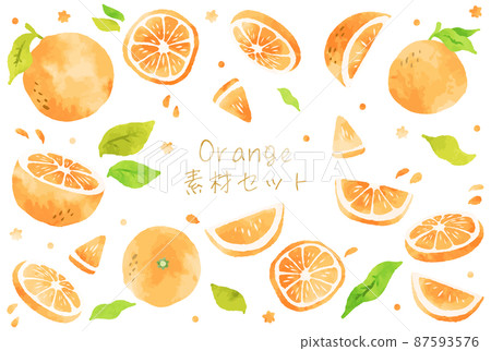 Beautiful watercolor orange illustration material set Beautiful watercolor orange illustration material set 87593576