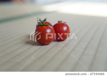 Petit tomatoes and tatami mats Petit tomatoes and tatami mats 87594966