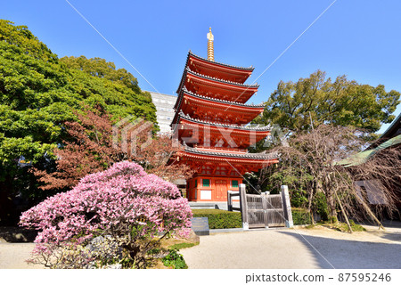 福岡市博多區極莊町2-4東長寺五層寶塔 87595246