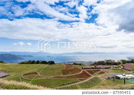 滋賀縣高島市 秋天的琵琶湖 紅色的Kokia在函館山頂蔓延開來 87595451