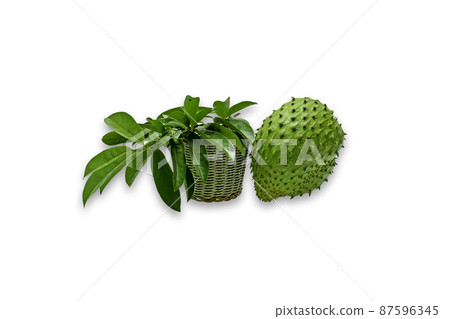 Annona muricata.Soursop fruit Sugar Apple ,custard apple isolated on white background 87596345