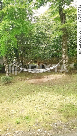 Newly recorded garden and hammock Newly recorded garden and hammock 87597782